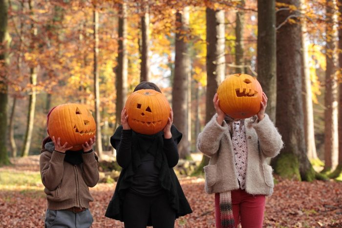 View of children holding pumpkins