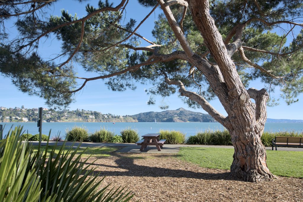 Sausalito park