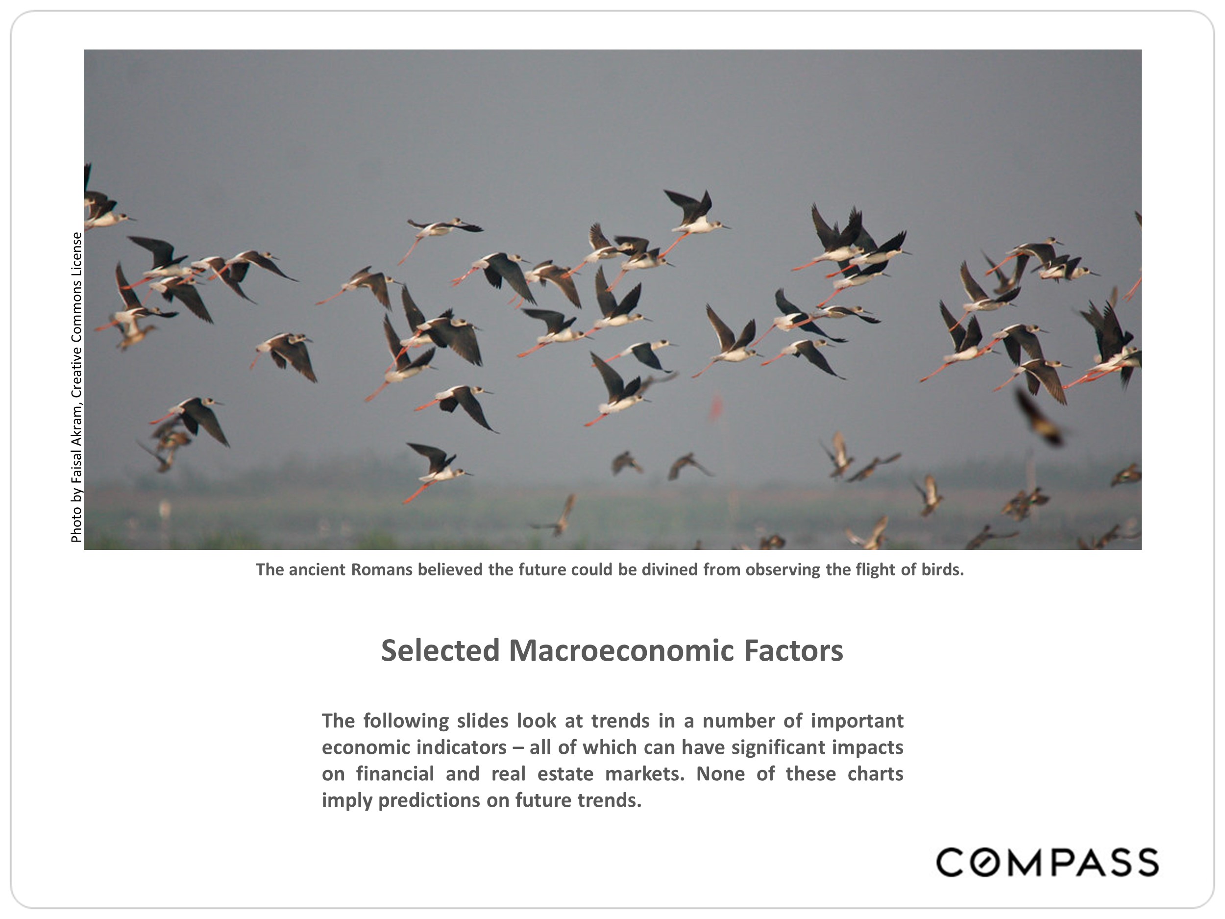 banner image of birds flying over water and text outlining the macroeconomic factors affecting the market in the following slides 