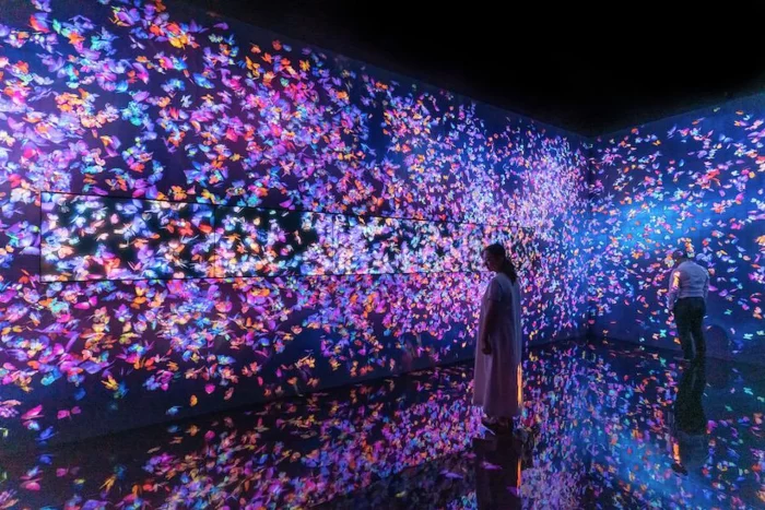 View of two people standing in a room filled with virtual butterflies