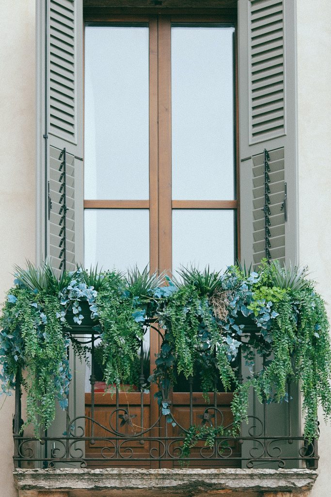 View of a window with shutters and a flower box