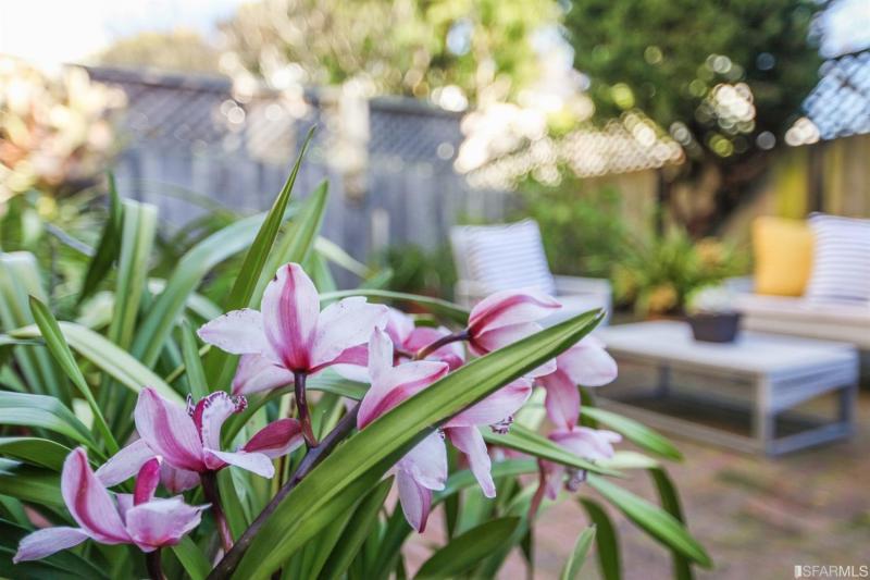 shannon-hughes-1031-balboa-sf-garden.jpg #30