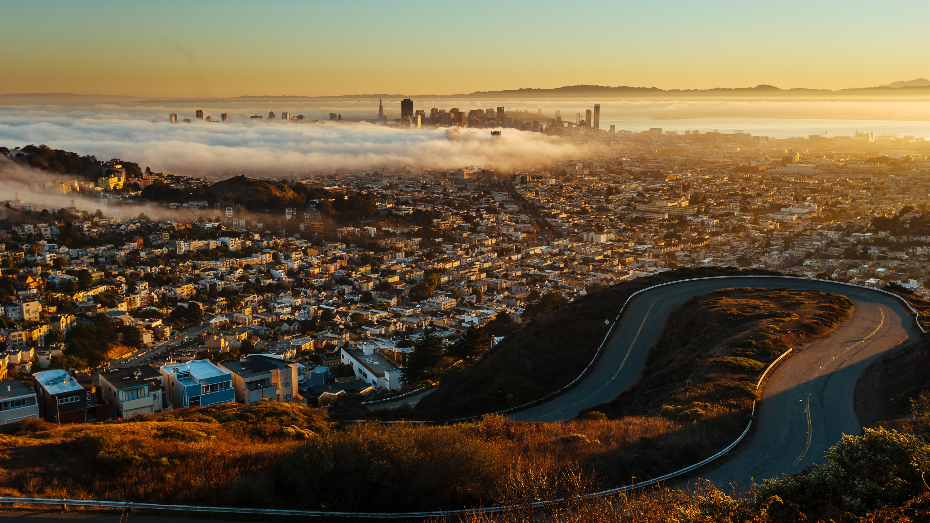 Feature image for SF: August 2023 Market Stats