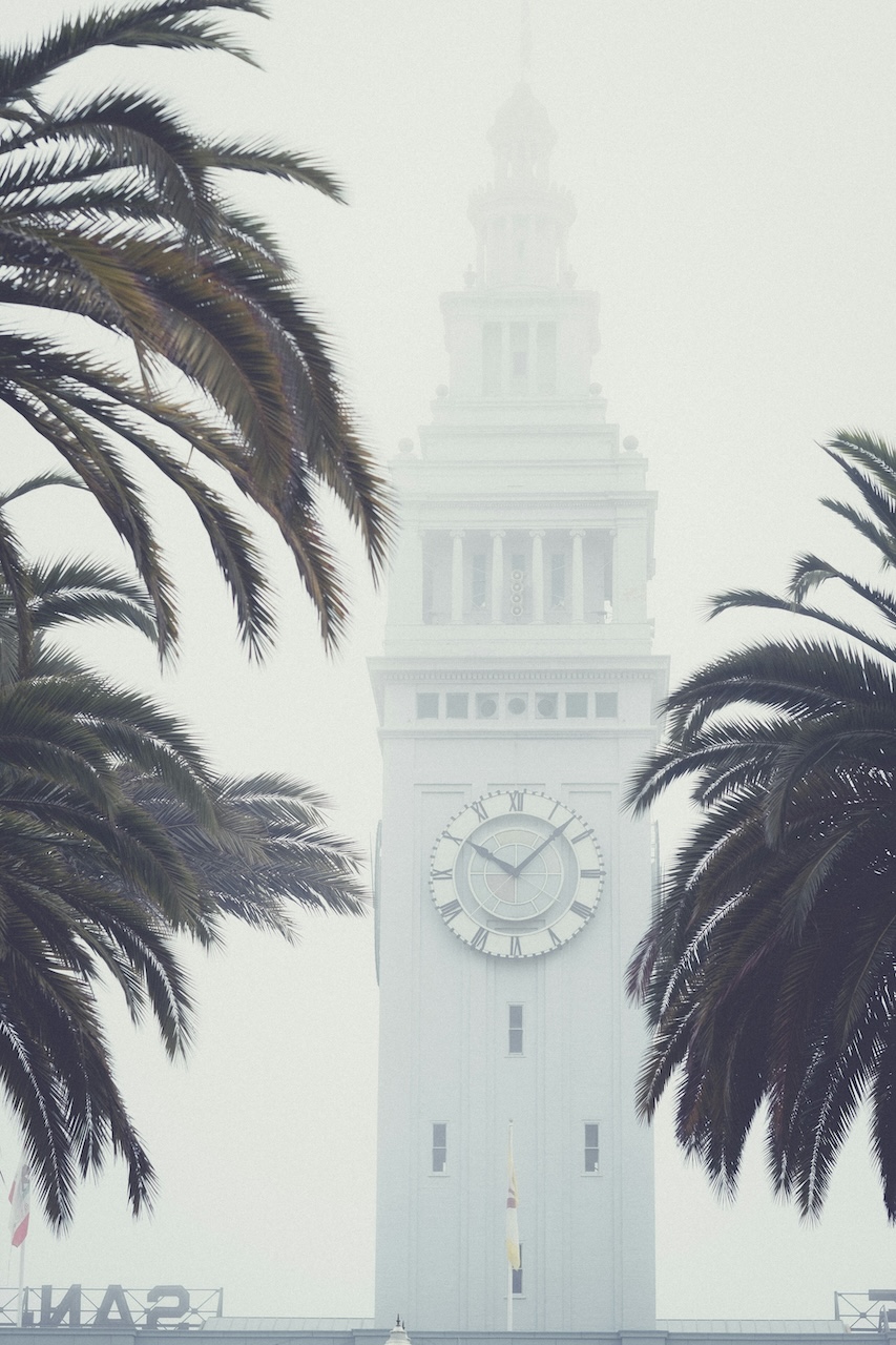 Feature image for SF: August 2024 Market Stats