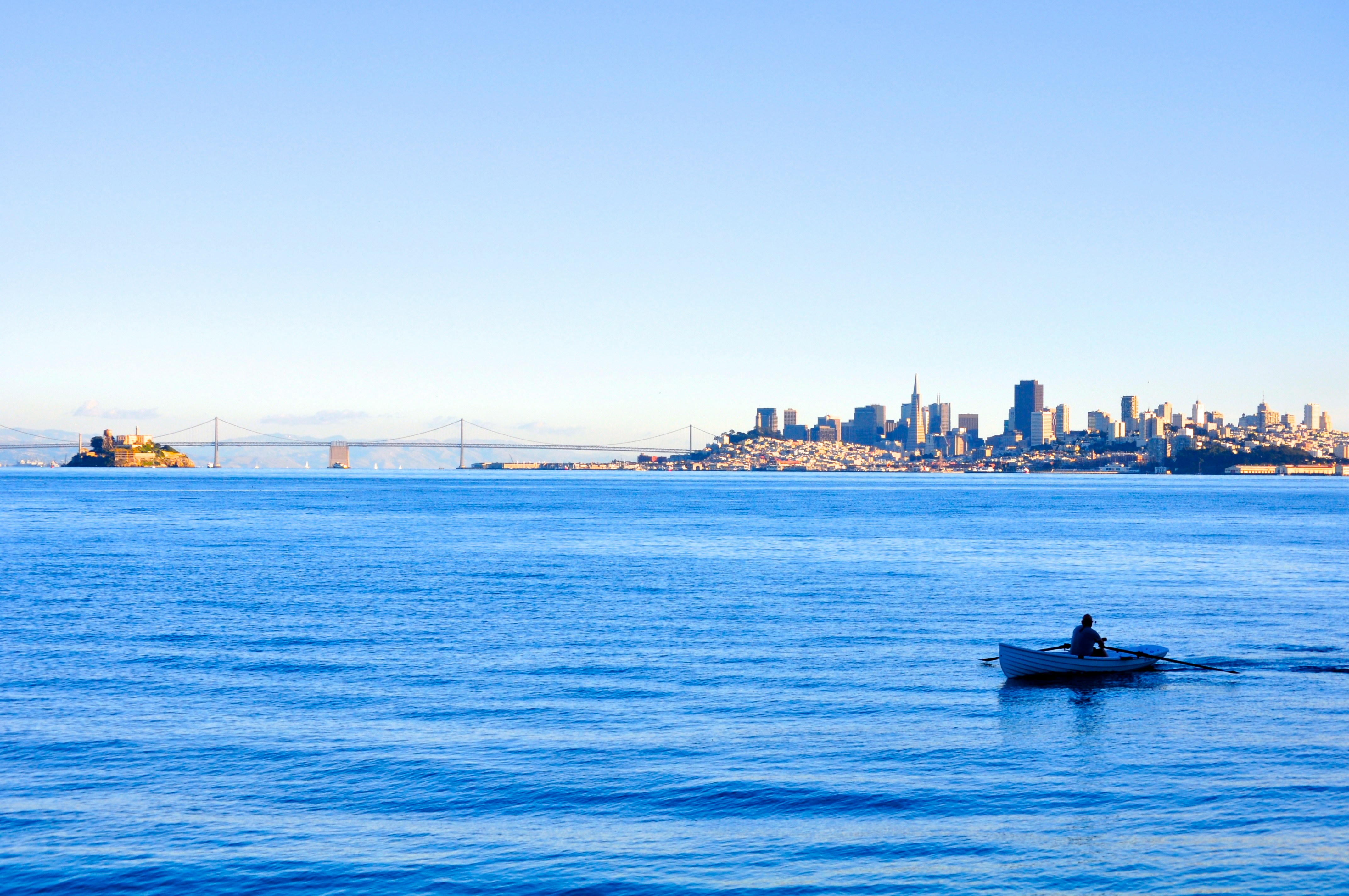 Feature image for SF: December 2024 Market Stats
