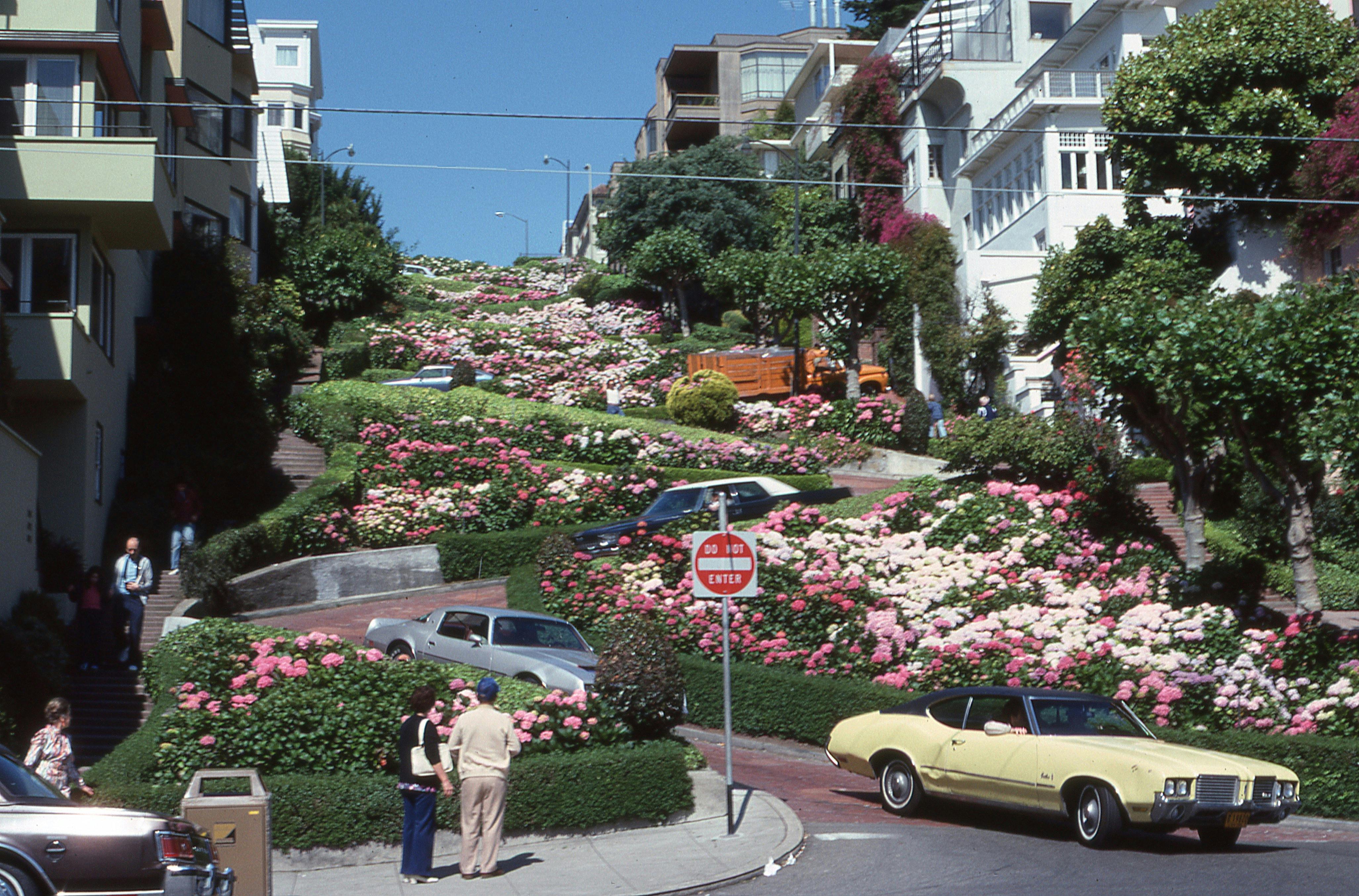 Feature image for SF: May 2025 Market Stats
