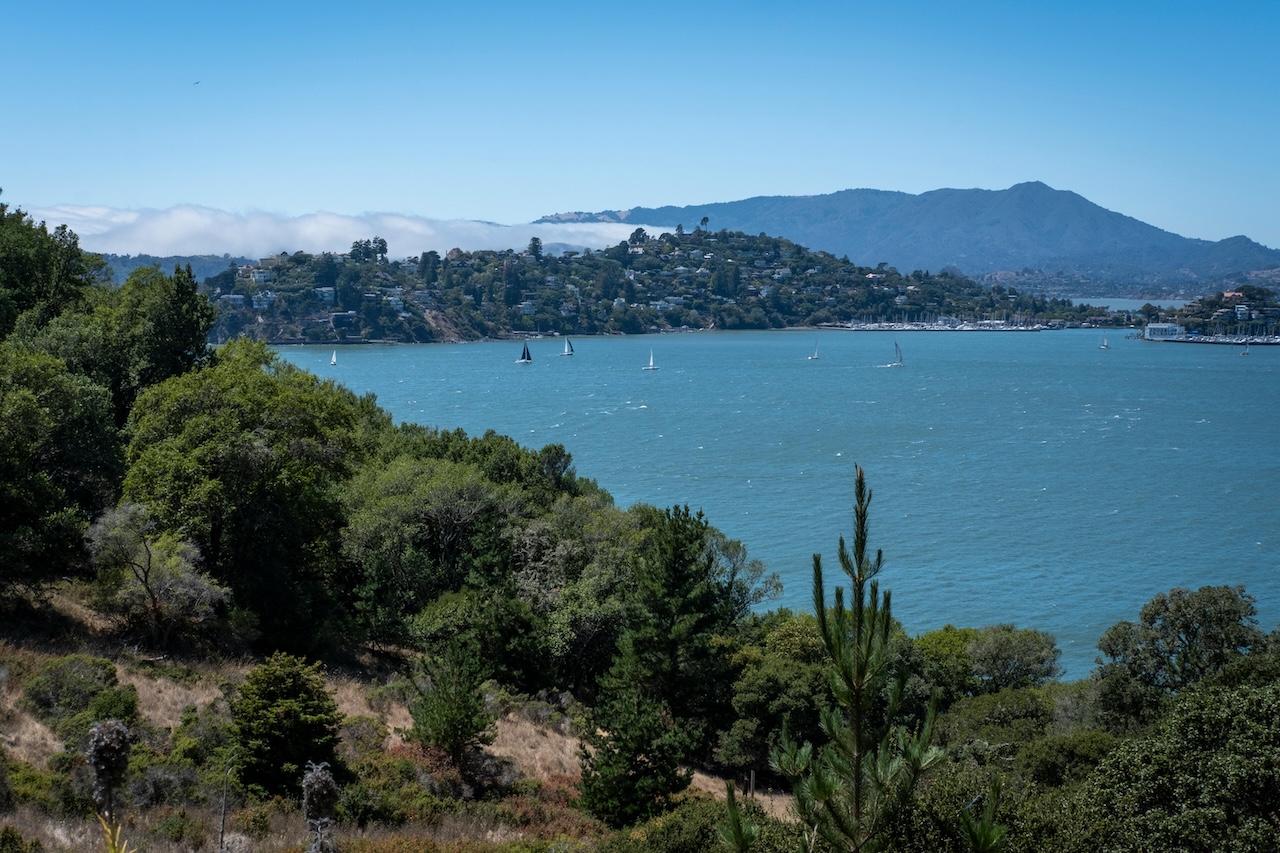 Feature image for Marin: June 2025 Market Stats