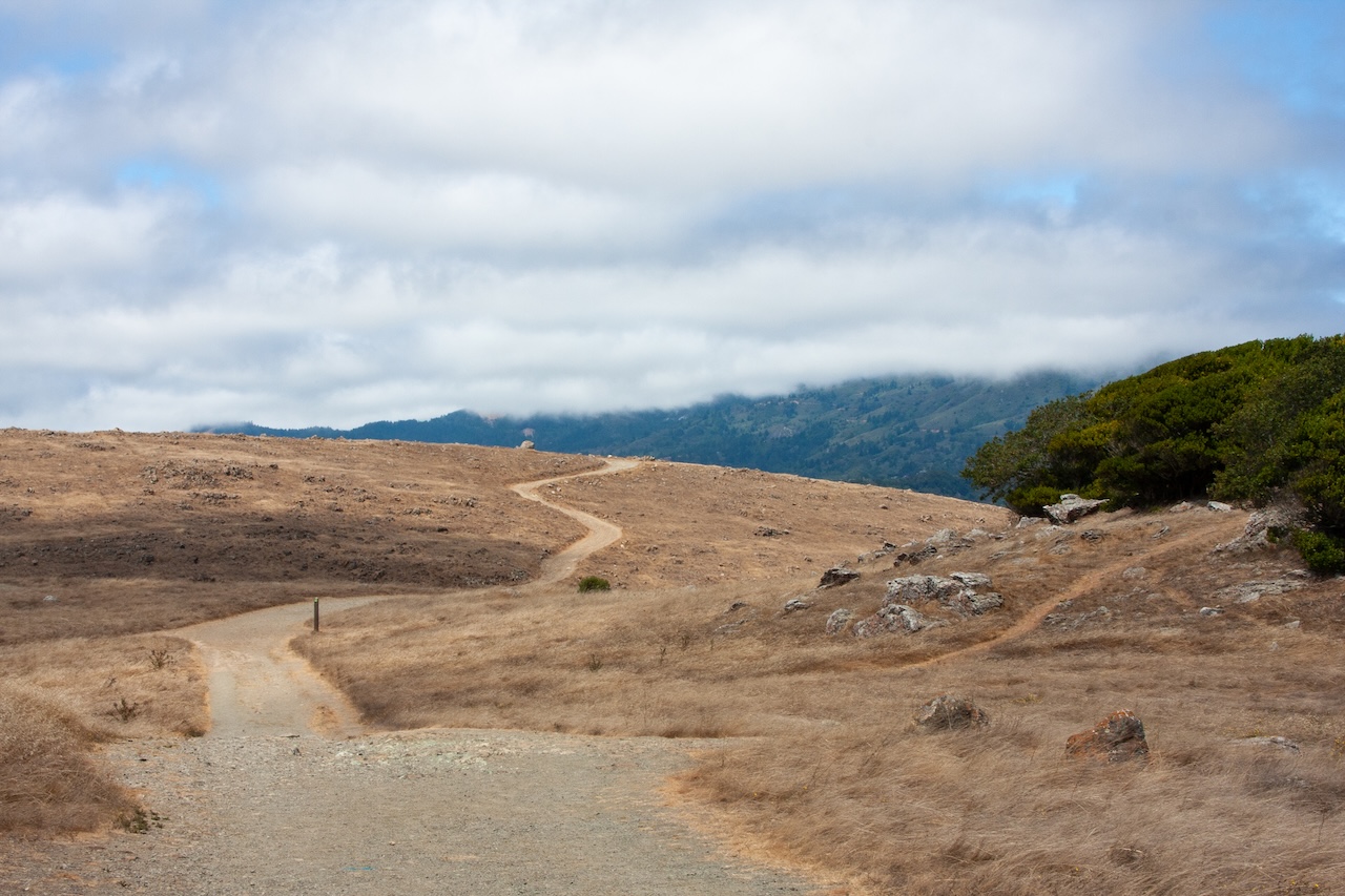 Feature image for Marin: December 2025 Market Stats